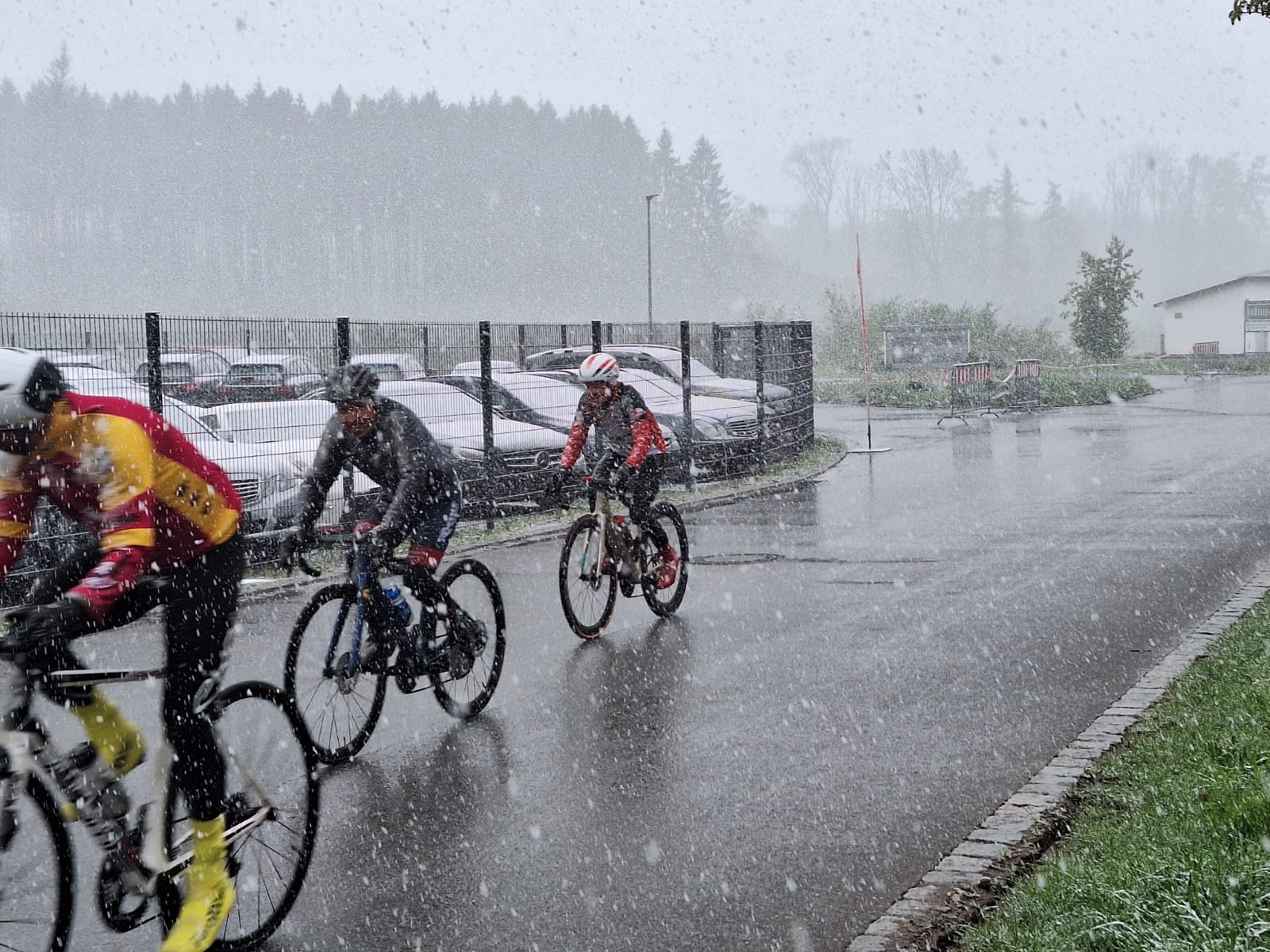 Otto im Schneefall in Bad Waldsee